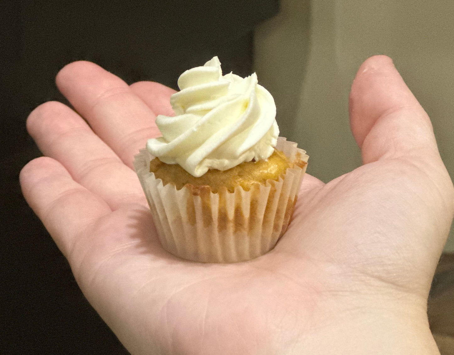 Mini Pupcakes
